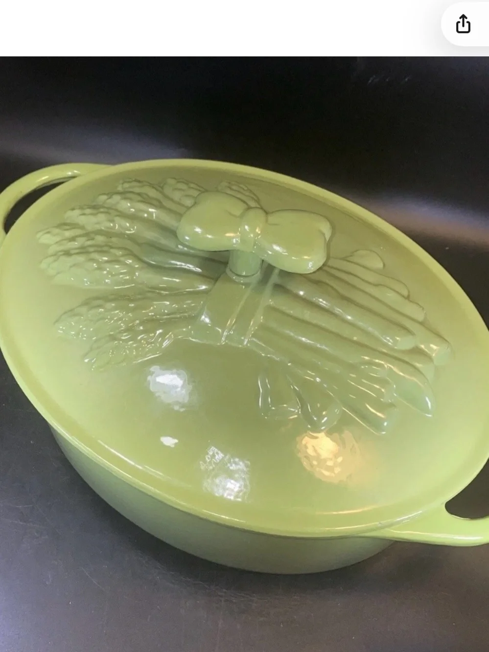TECHNIQUE Large Enameled Cast Iron Dutch Oven Asparagus Green NEW